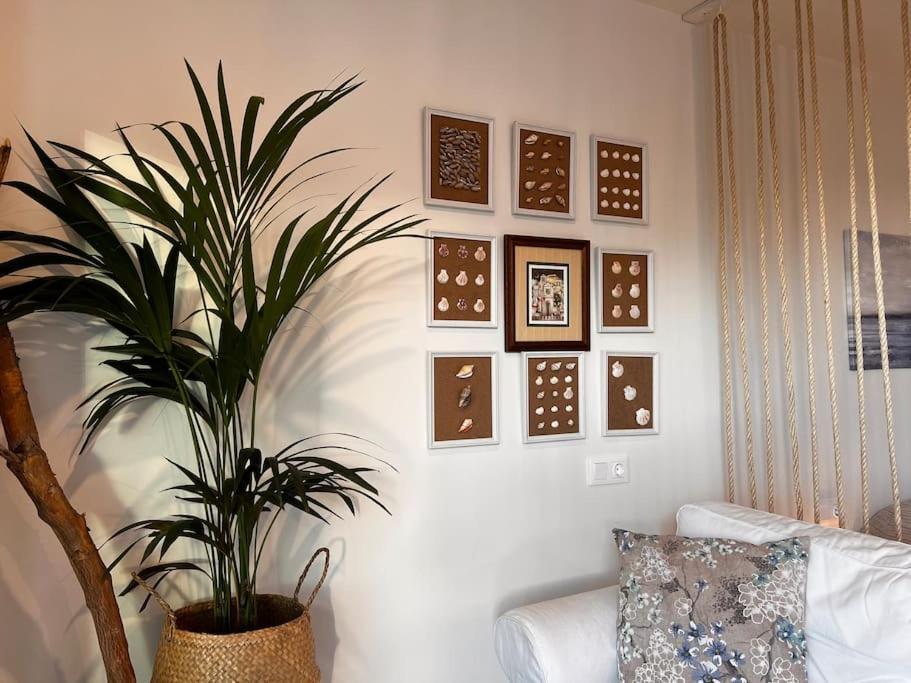 Ocean Dream Apartments - Lovely Sea View Studio Apartment 5Min From Beach San Marcos  外观 照片